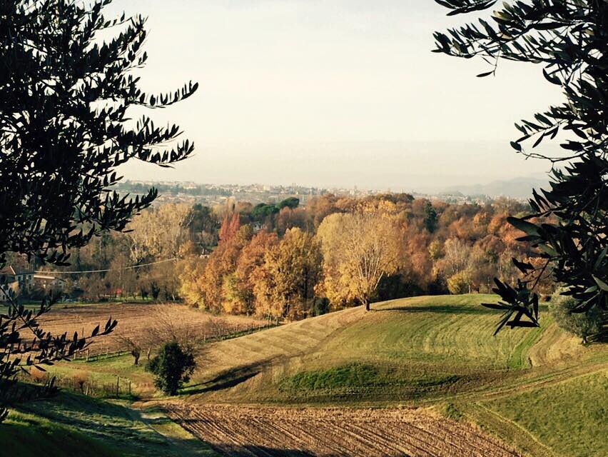 titolo immagine